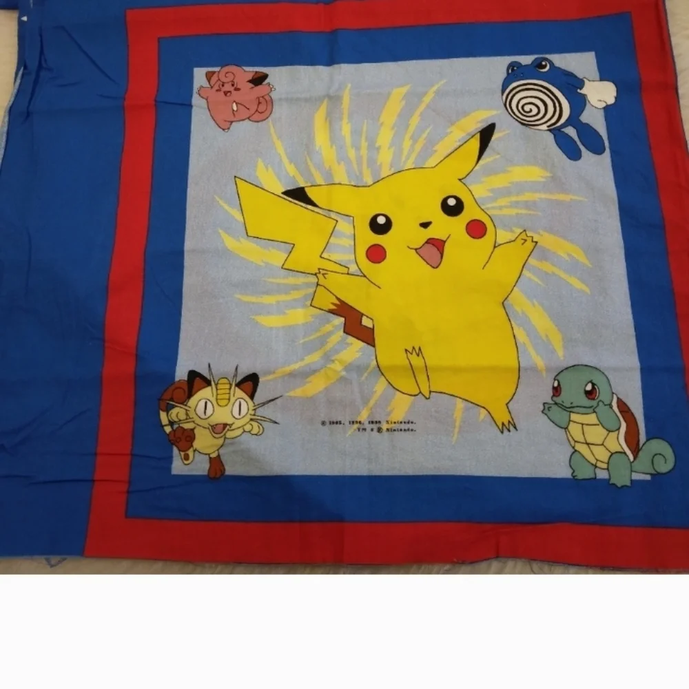 FABRIC PILLOW PANEL Pokemon Picachu & Picachu And Ash, Licensed Nintendo Product